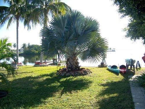 Knolls Court Motel Matlacha Екстериор снимка